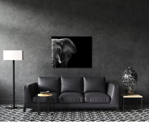 Obraz Slon na čiernom pozadí - 90 x 70 cm