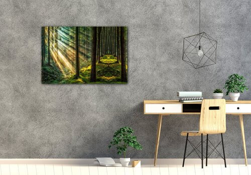 Obraz Slnečné lúče v lese - 60 x 40 cm