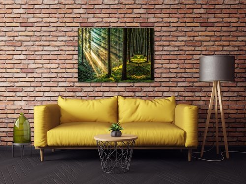 Obraz Slnečné lúče v lese - 70 x 50 cm