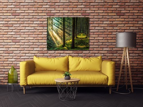 Obraz Slnečné lúče v lese - 90 x 70 cm