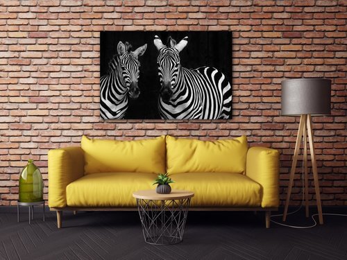Obraz Dve zebry čiernobiele - 90 x 60 cm