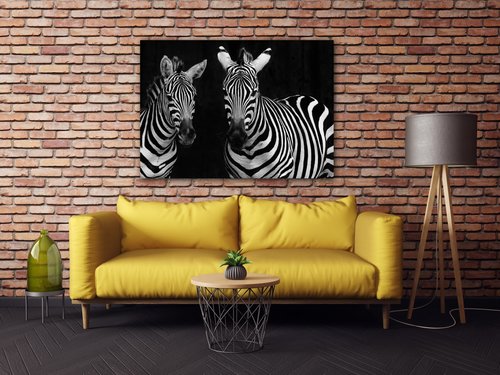 Obraz Dve zebry čiernobiele - 70 x 50 cm