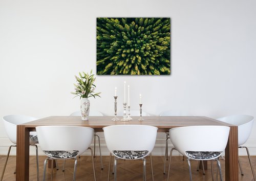 Obraz Les - 90 x 70 cm