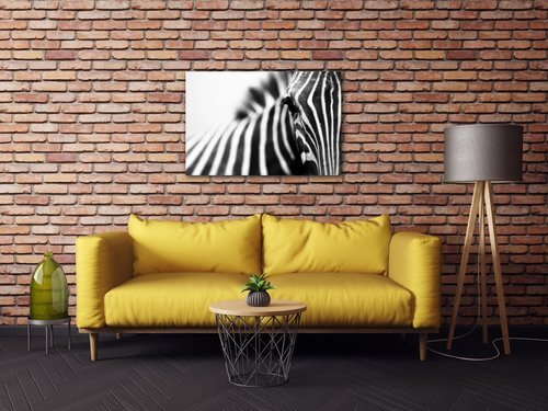 Obraz Zebra detail - 60 x 40 cm