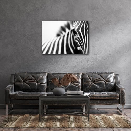 Obraz Zebra detail - 70 x 50 cm