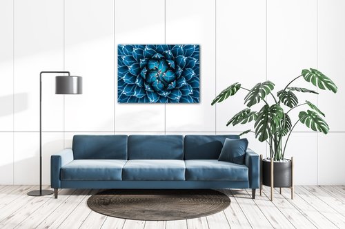 Obraz Modrý kvet - 70 x 50 cm