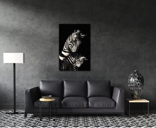 Obraz Zebry čiernobiele - 40 x 60 cm
