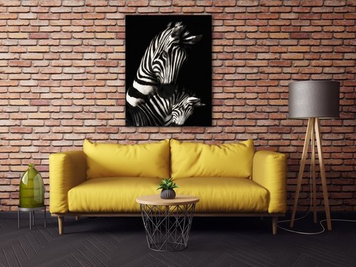 Obraz Zebry čiernobiele - 70 x 90 cm