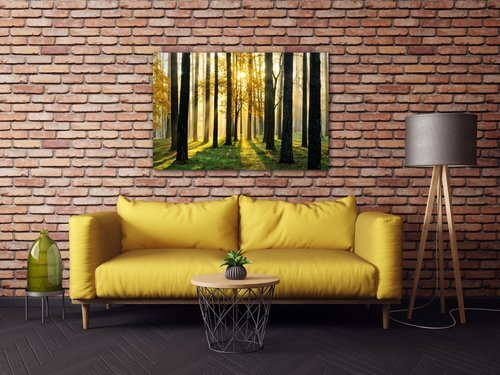 Obraz Osvietený les - 60 x 40 cm