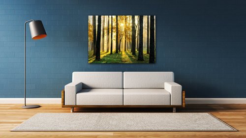 Obraz Osvietený les - 70 x 50 cm