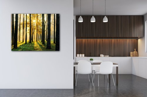 Obraz Osvietený les - 90 x 70 cm
