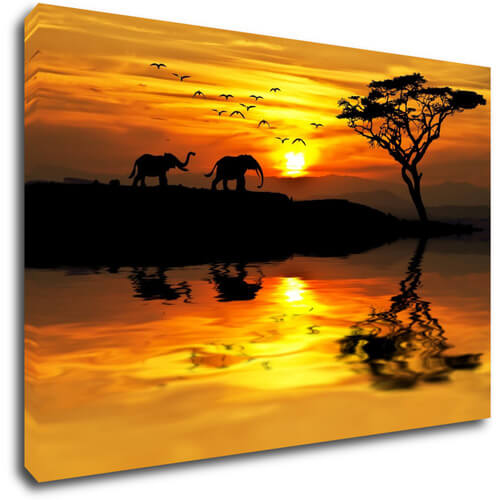 Obraz Safari západ slunce