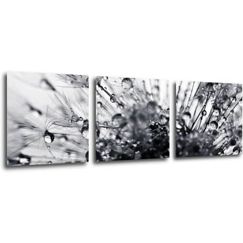 Obraz Púpava s kvapkami vody - 90 x 30 cm (3 dielny)