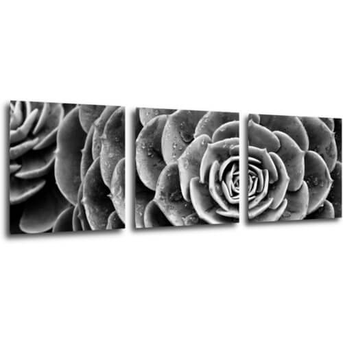 Obraz Kvet čiernobiely detail - 90 x 30 cm (3 dielny)