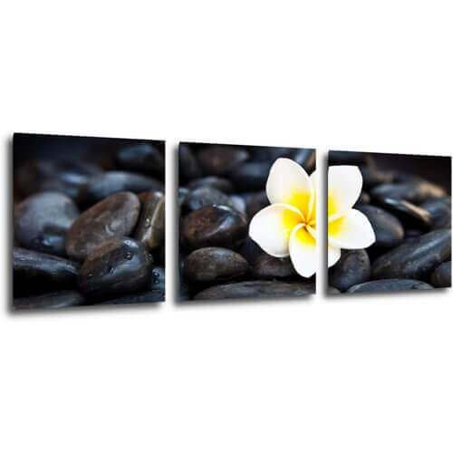Obraz Biely kvet na čiernych kameňoch - 90 x 30 cm (3 dielny)
