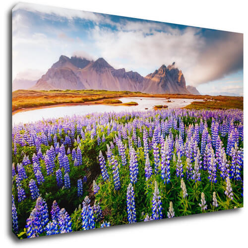 Obraz Horská krajina s kvety - 60 x 40 cm