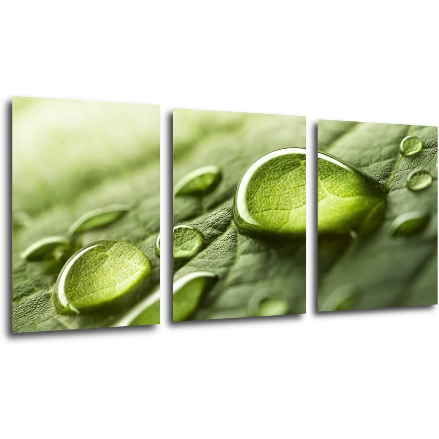 Obraz Kvapky vody na liste - 150 x 70 cm (3 dielny)