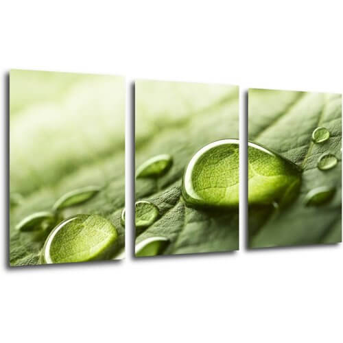 Obraz Kvapky vody na liste - 120 x 60 cm (3 dielný)
