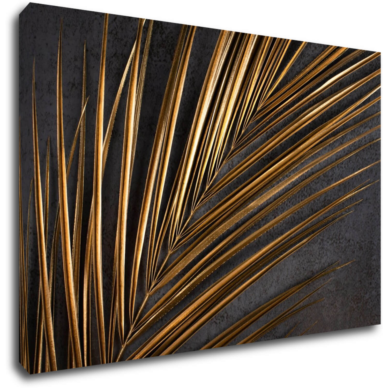 Obraz Zlatý detail palma - 60 x 40 cm