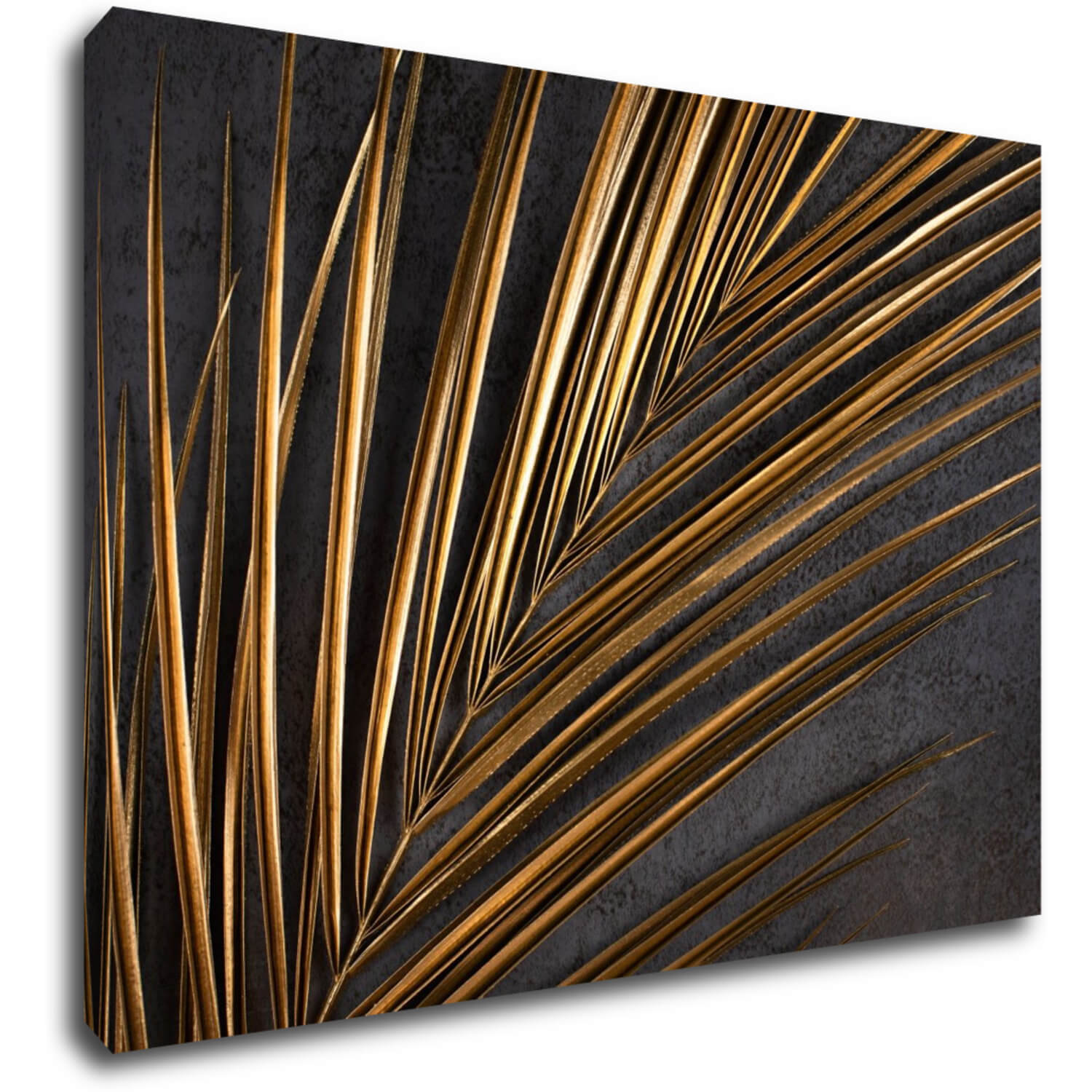 Obraz Zlatý detail palma - 70 x 50 cm