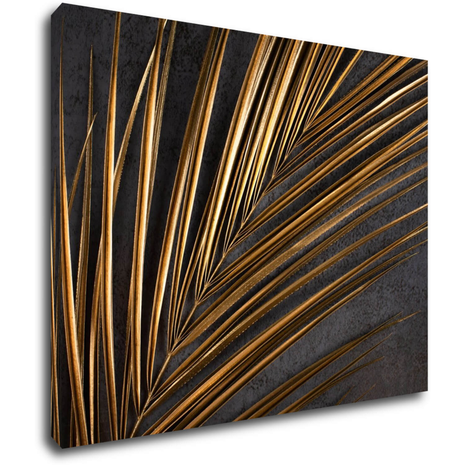 Obraz Zlatý detail palma - 90 x 70 cm