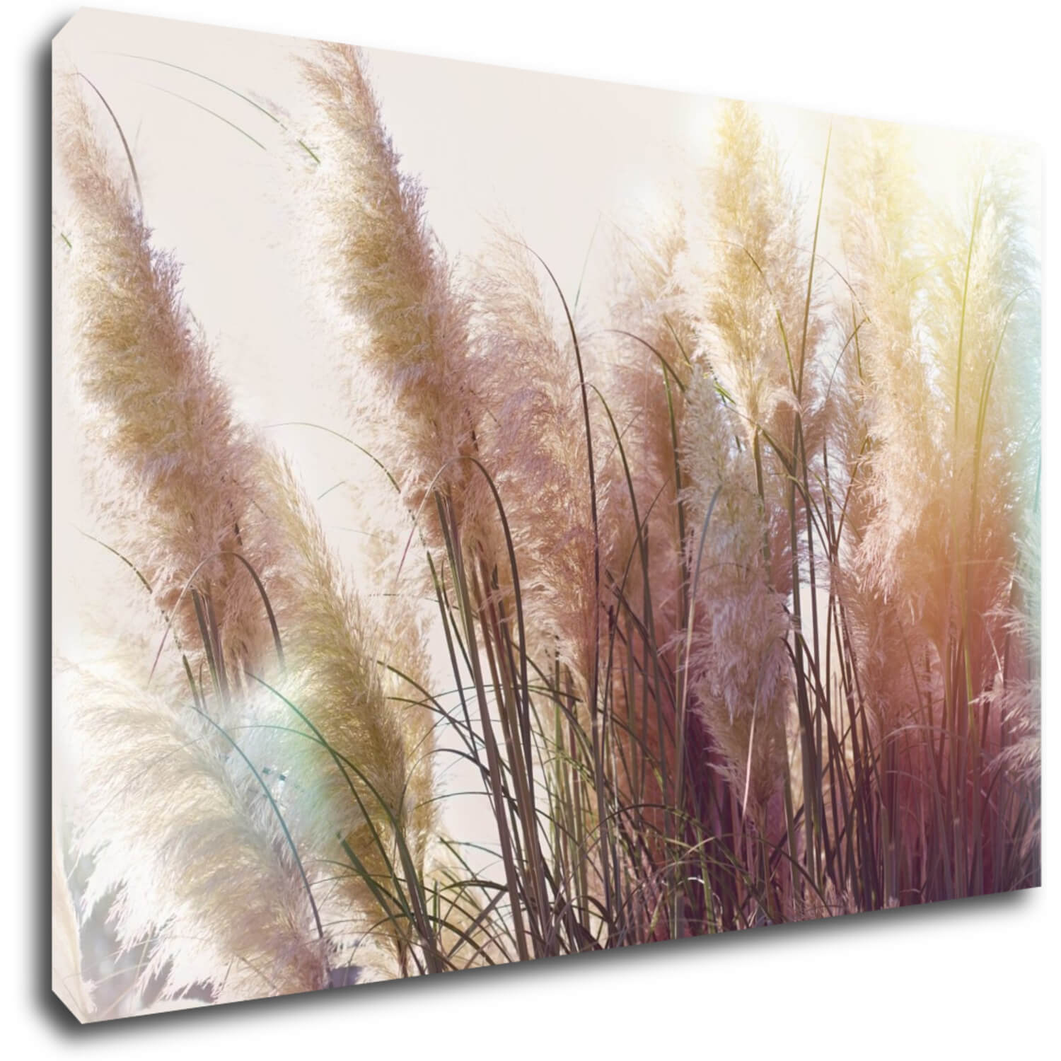Obraz Suchá tráva - 90 x 60 cm
