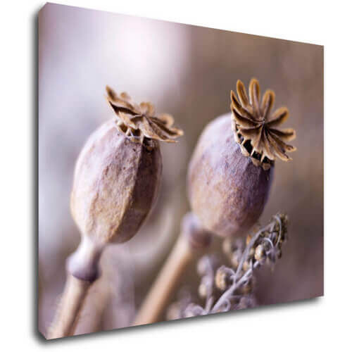 Obraz Suché kvety škandinásky štýl - 90 x 70 cm