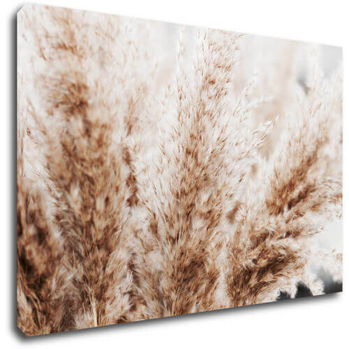 Obraz Suchá tráva škandinávsky štýl - 90 x 60 cm