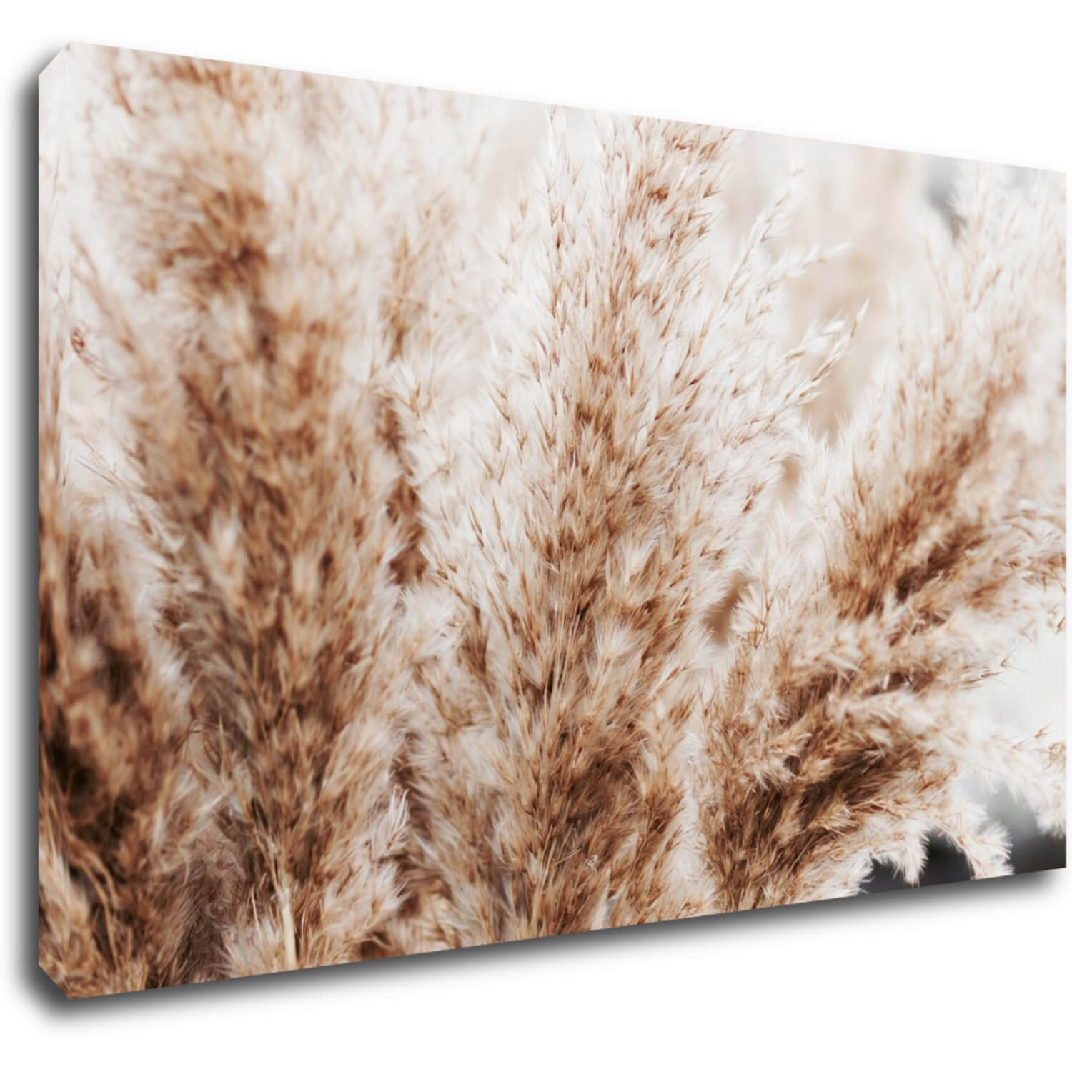 Obraz Suchá tráva škandinávsky štýl - 50 x 30 cm