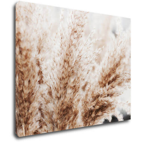 Obraz Suchá tráva škandinávsky štýl - 90 x 70 cm