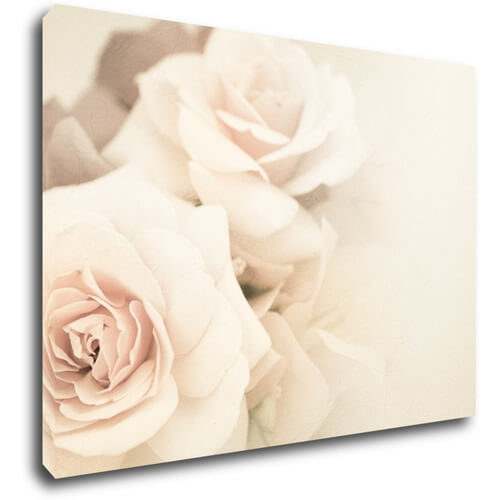 Obraz Ruže svetlé - 70 x 50 cm