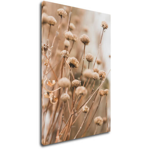 Obraz Škandinávsky štýl suchá tráva - 40 x 60 cm