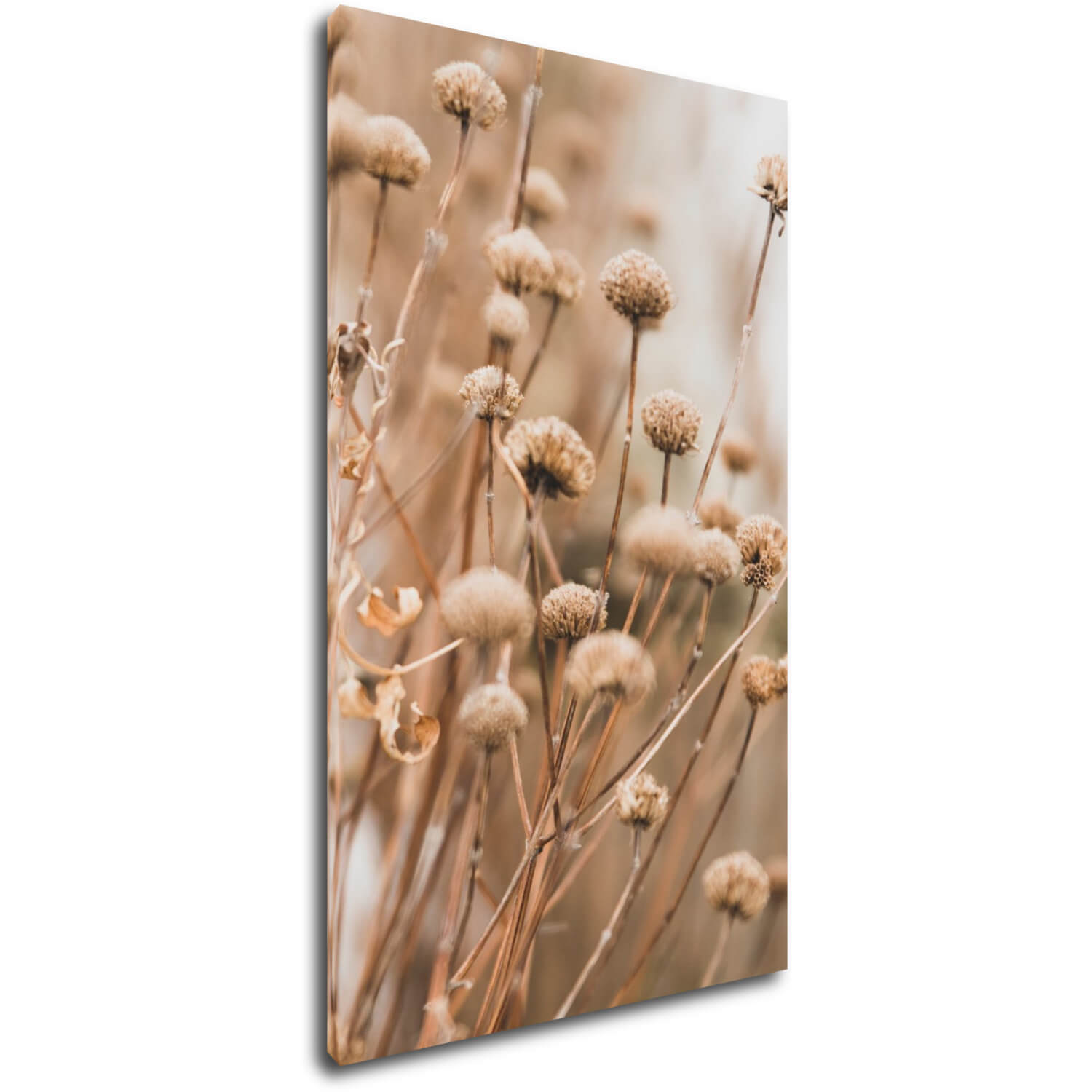 E-shop Impresi Obraz Škandinávsky štýl suchá tráva - 30 x 50 cm