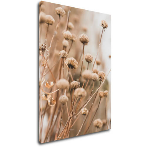 Obraz Škandinávsky štýl suchá tráva - 50 x 70 cm