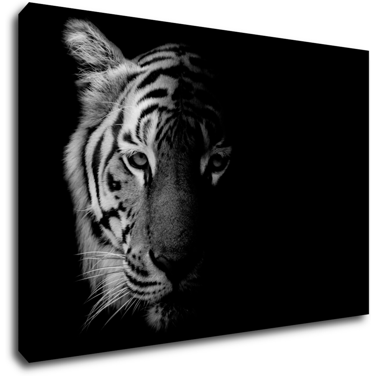 Obraz Tiger čiernobiely - 90 x 60 cm