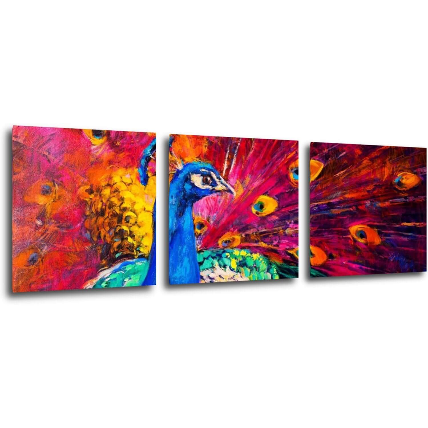 Obraz Farebný páv - 90 x 30 cm (3 dielny)
