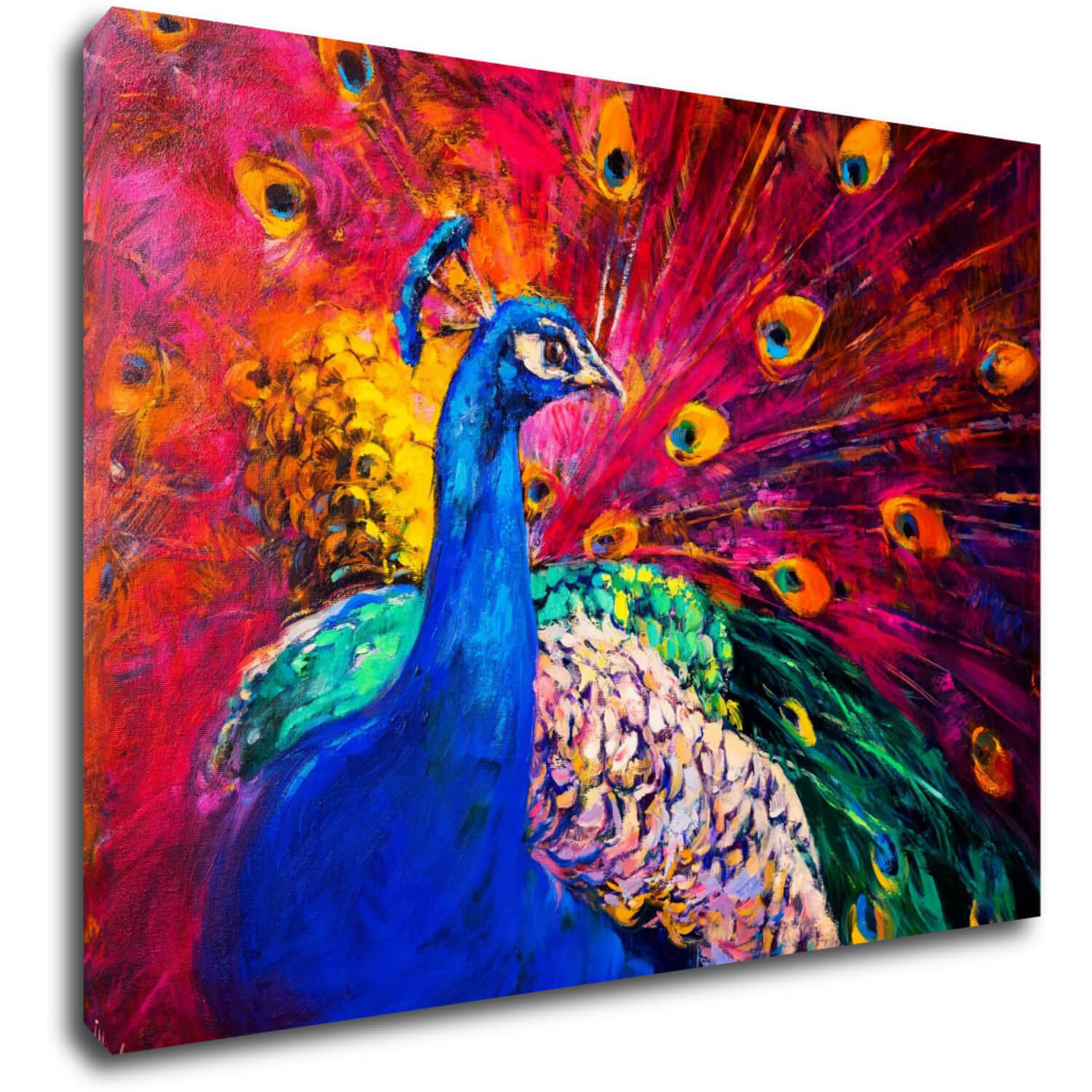 Obraz Farebný páv - 70 x 50 cm