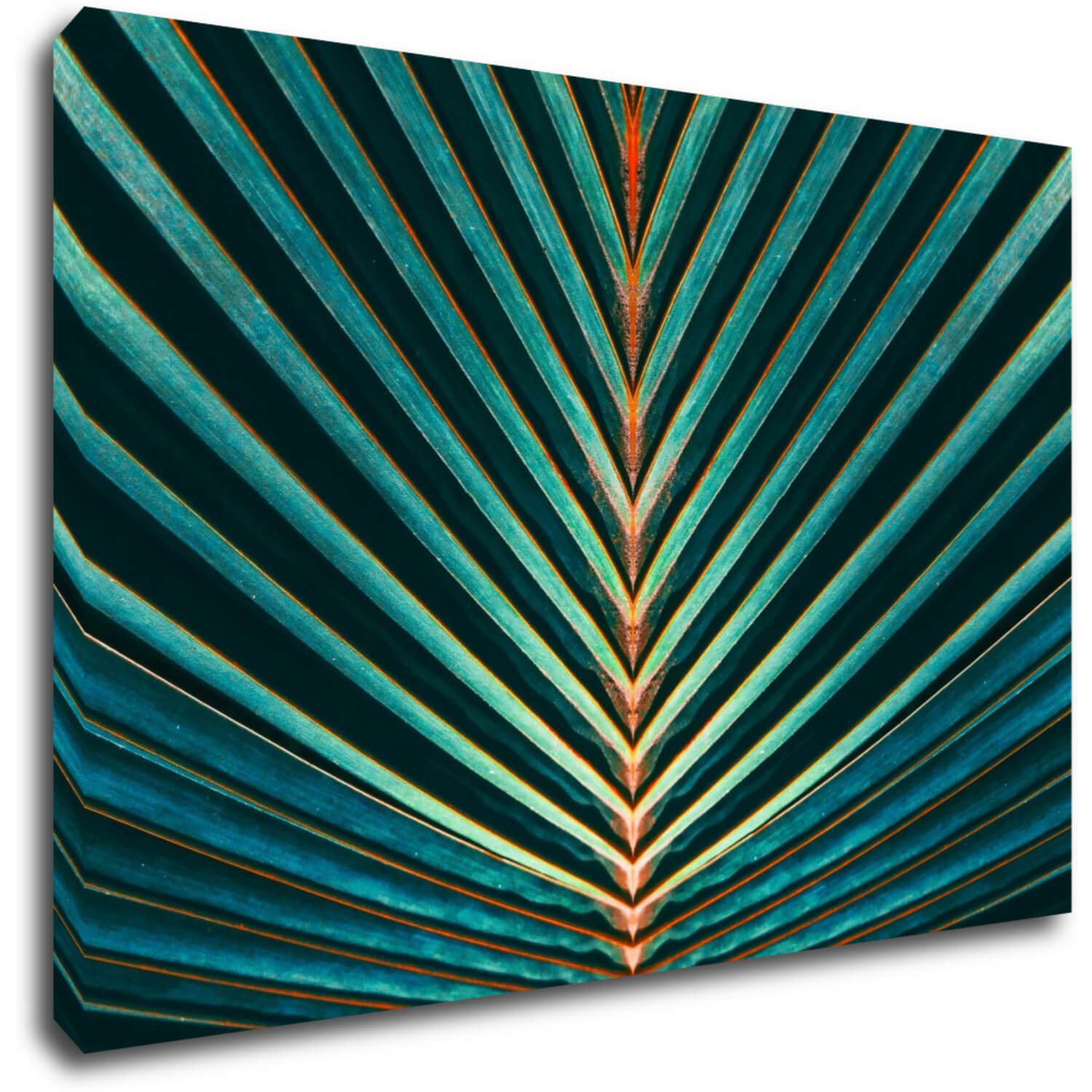 Obraz Palmový list - 90 x 60 cm