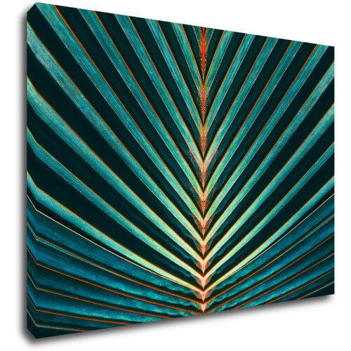 Obraz Palmový list - 70 x 50 cm