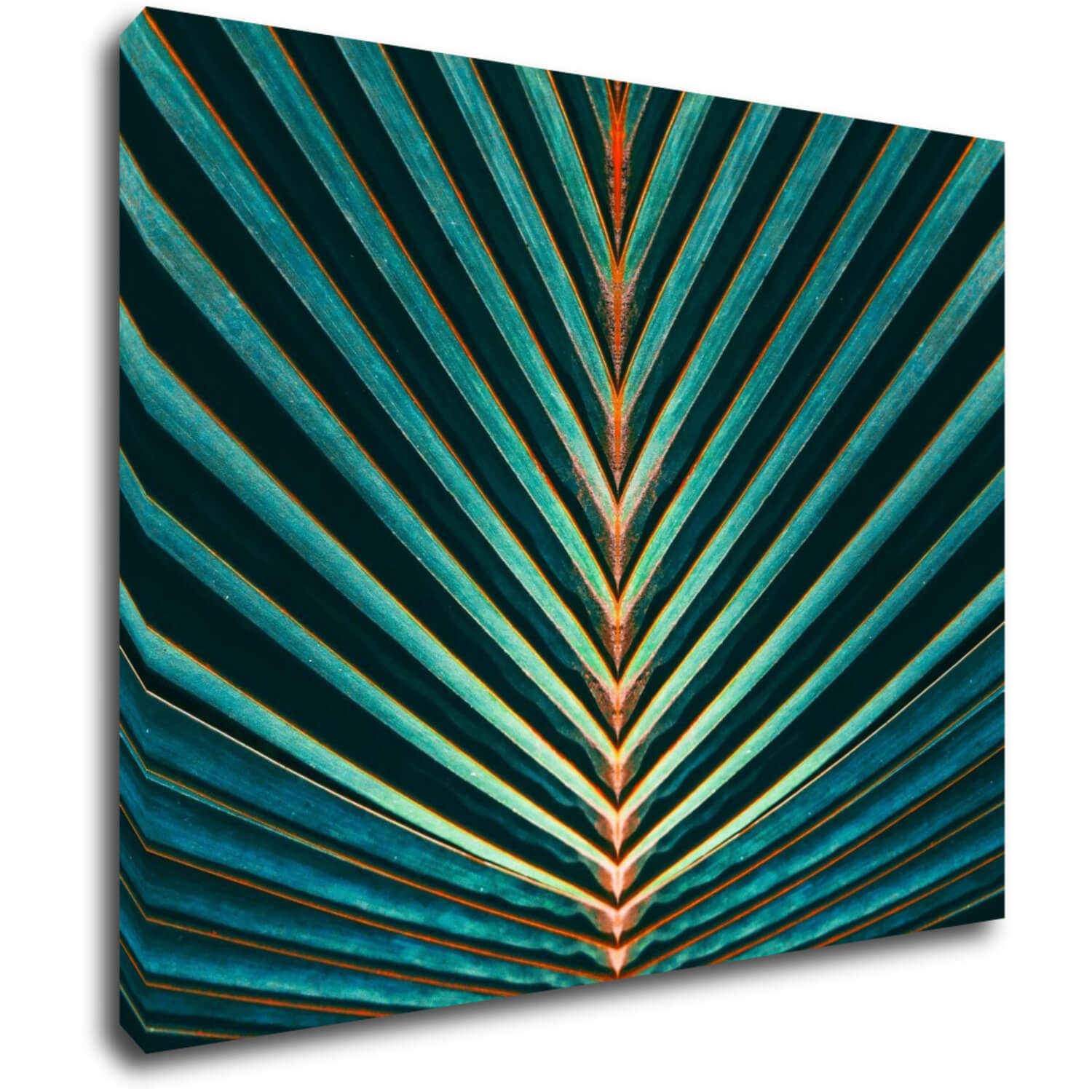 Obraz Palmový list - 90 x 70 cm