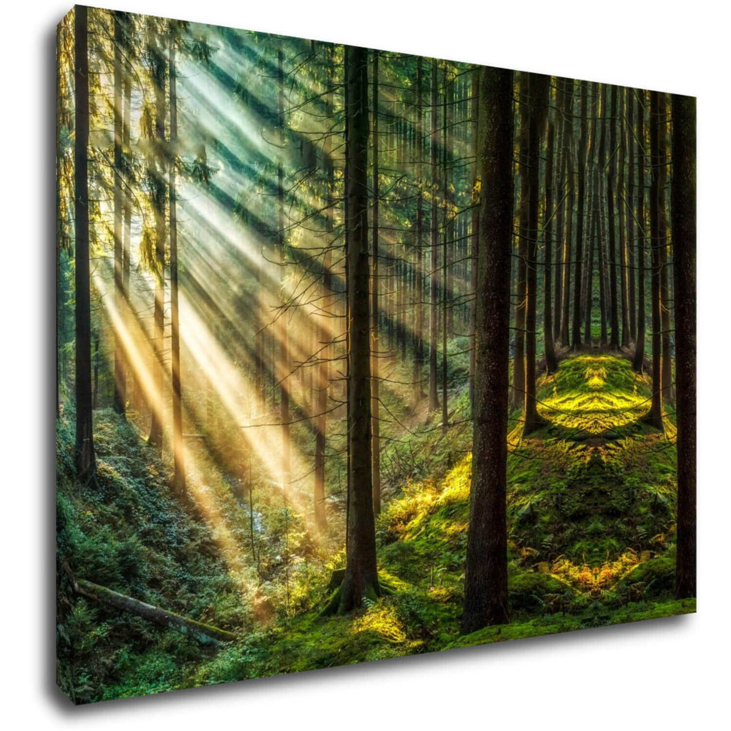 Obraz Slnečné lúče v lese - 70 x 50 cm
