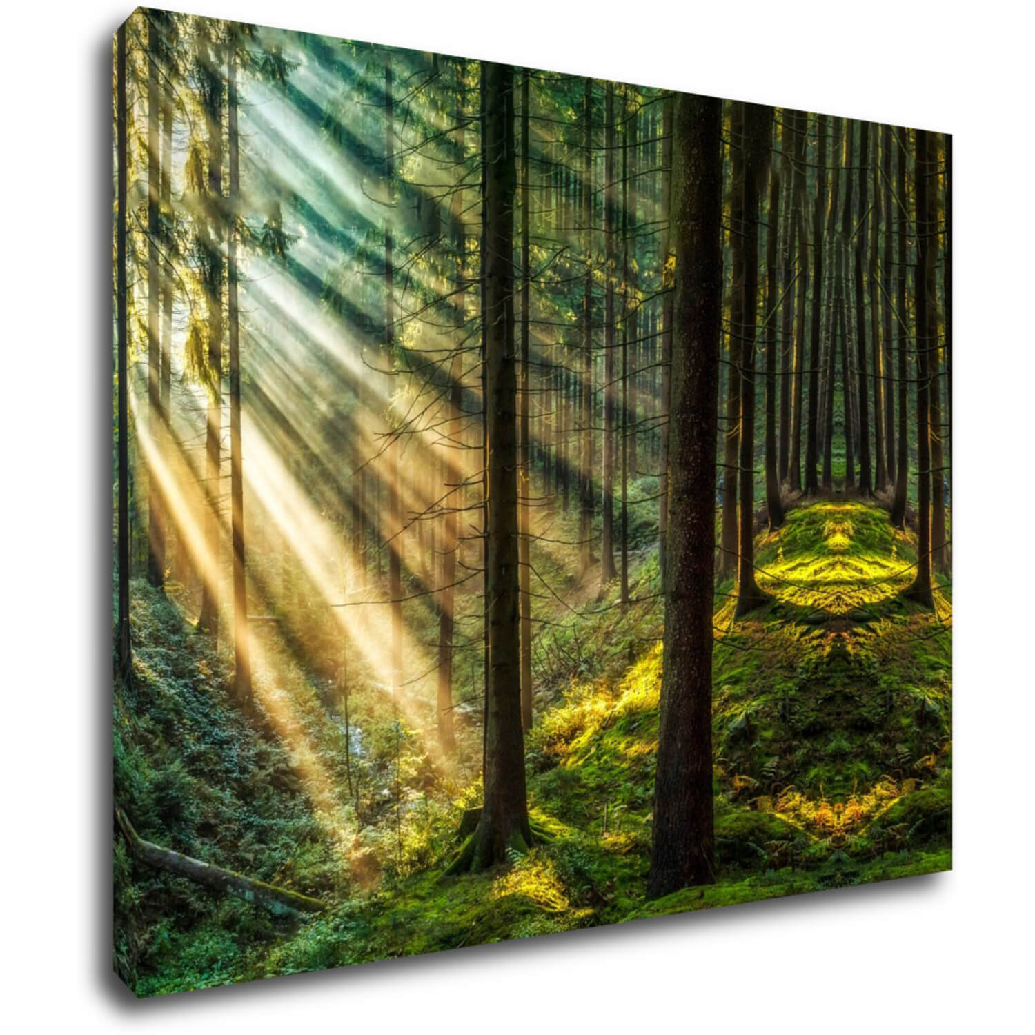 Obraz Slnečné lúče v lese - 90 x 70 cm