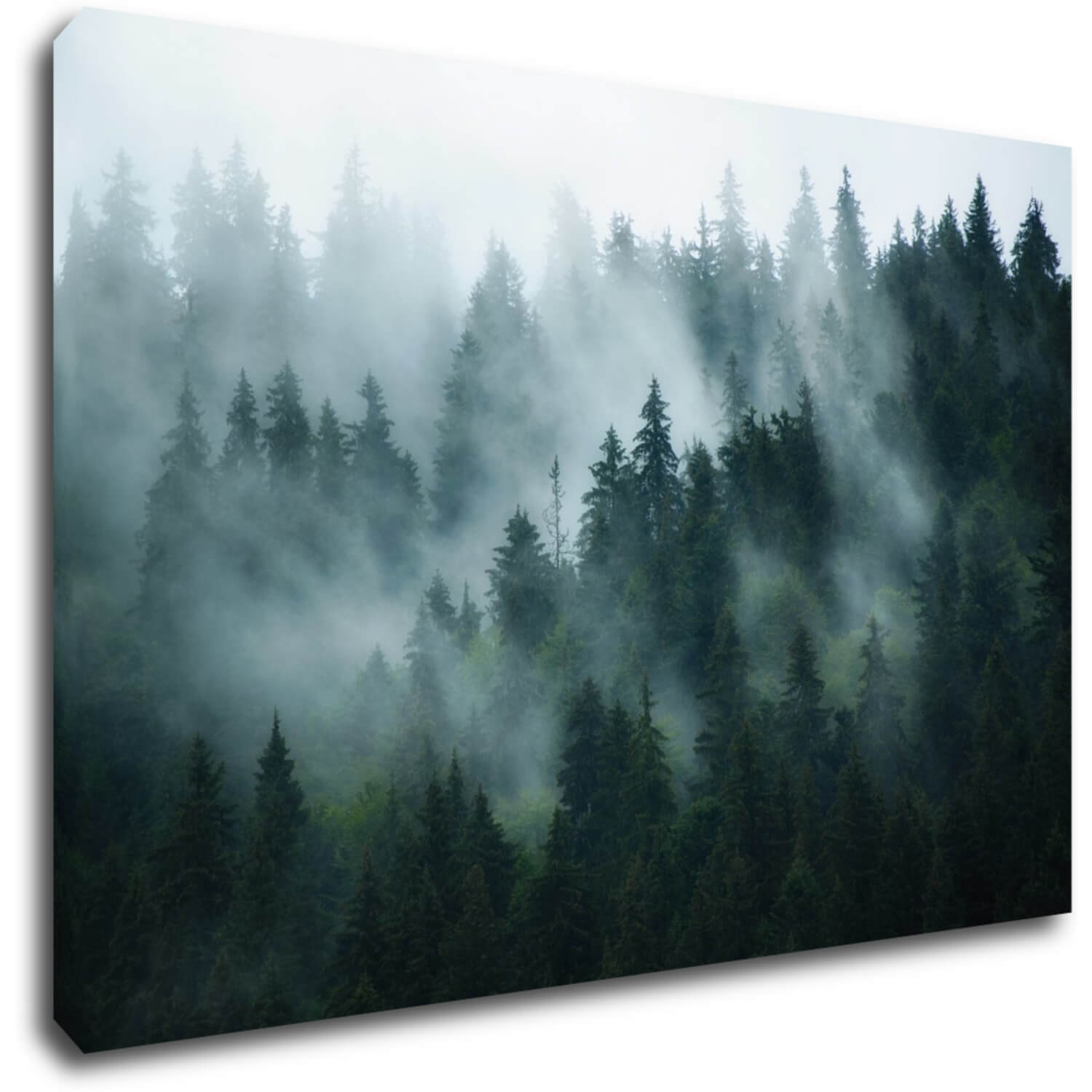 Obraz Les v hmle - 90 x 60 cm