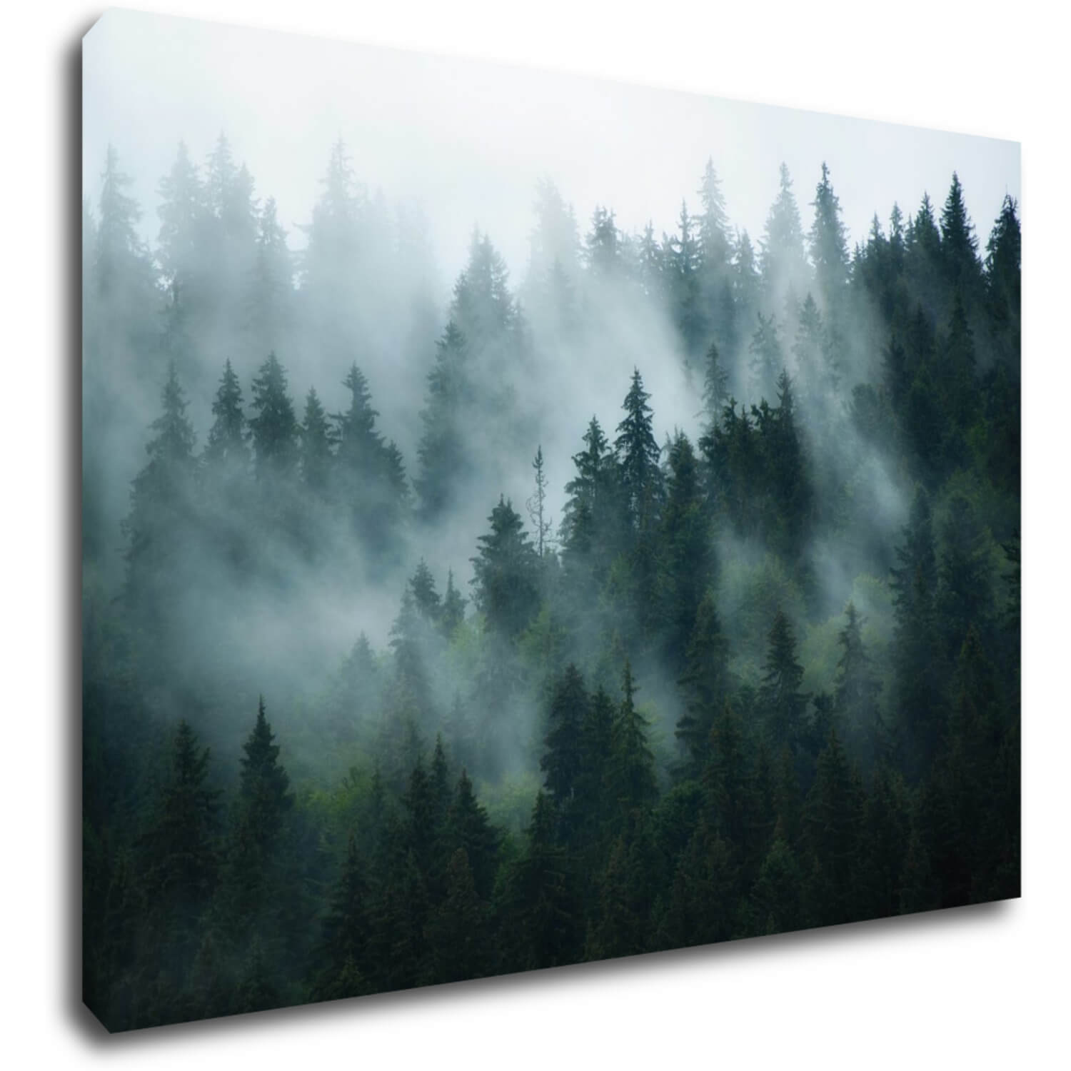Obraz Les v hmle - 70 x 50 cm