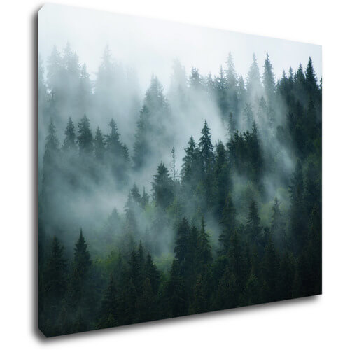Obraz Les v hmle - 90 x 70 cm