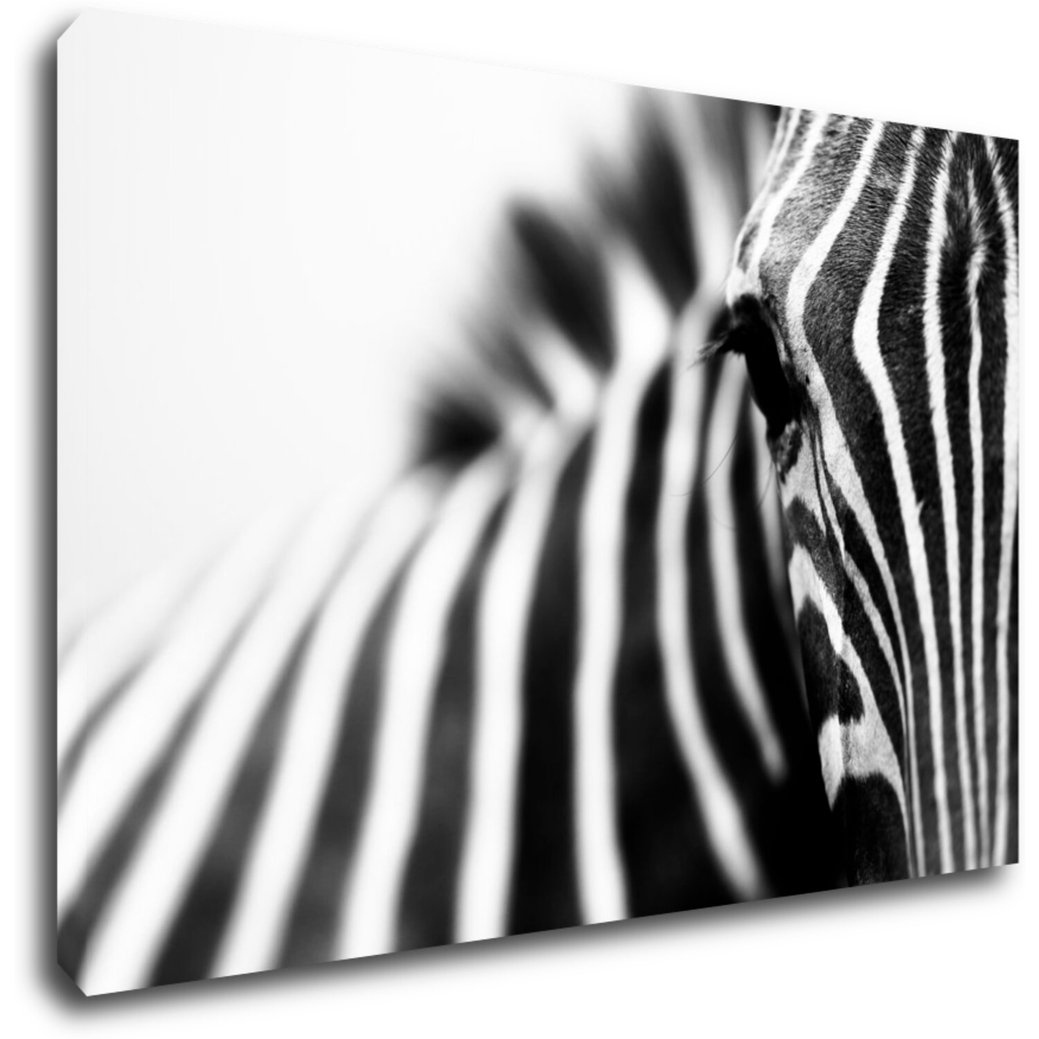Obraz Zebra detail - 60 x 40 cm