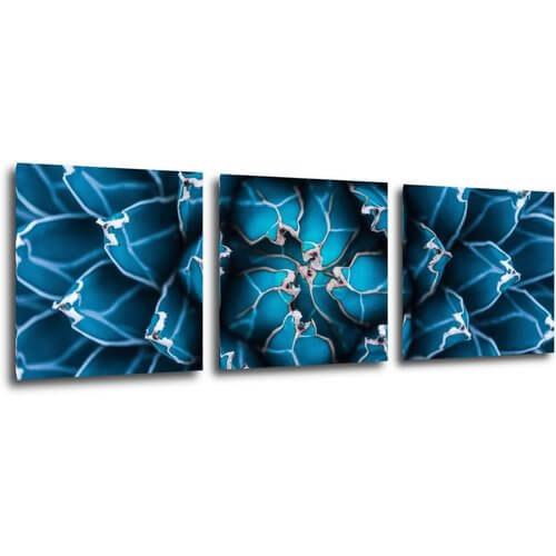 Obraz Modrý kvet - 90 x 30 cm (3 dielny)