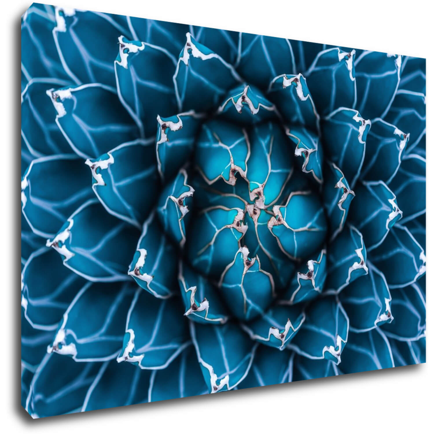 Obraz Modrý kvet - 90 x 60 cm