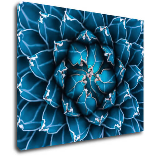 Obraz Modrý kvet - 90 x 70 cm