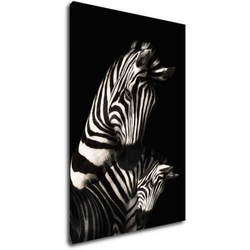 Obraz Zebry čiernobiele - 60 x 90 cm